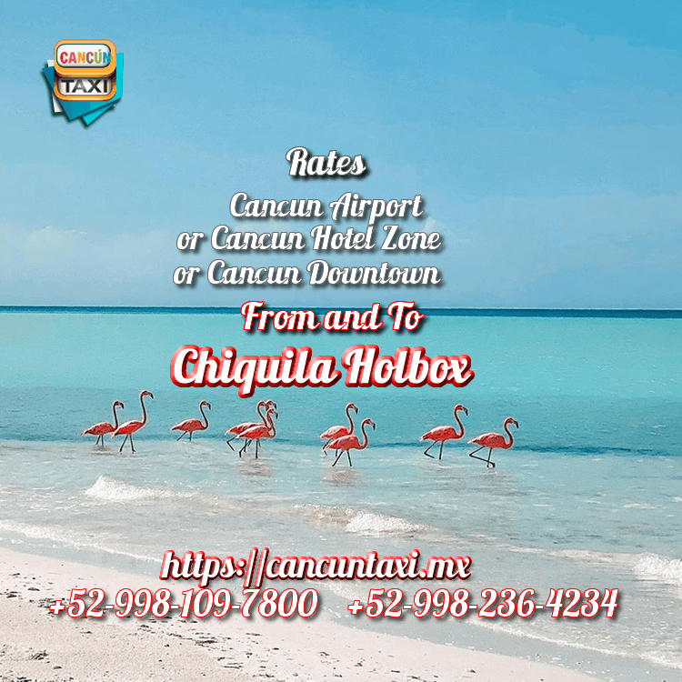 transfer from cancun airport to holbox